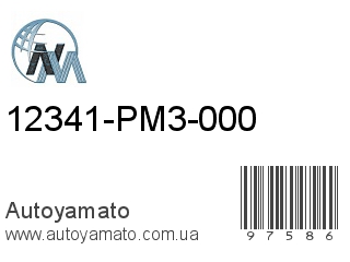 12341-PM3-000 (NIPPON MOTORS)